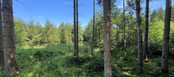 Grundstück in Ostallgäu, Germany, Nr. 183875 4