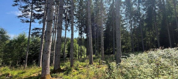 Grundstück in Ostallgäu, Germany, Nr. 183875 2