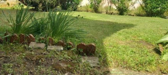 3 Schlafzimmer Haus in Dun-sur-Meuse, France, Nr. 67430 7