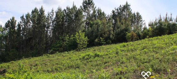  Land in Viseu, Portugal No. 67666 2