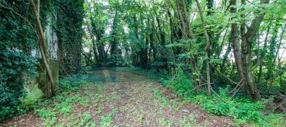 9غرفة منزل في Forlì, Italy رقم 136001 16