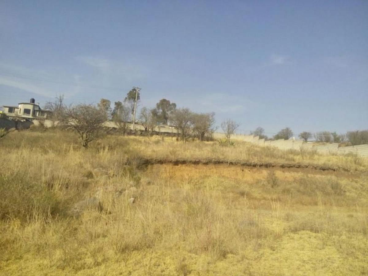 Земельный участок в Альмолоя де Хуарес, Мексика № 206932