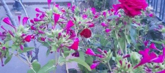 4 bedrooms Commercial property in Brillac, France No. 1884 6