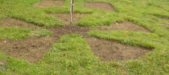 4 bedrooms Commercial property in Brillac, France No. 1884 9