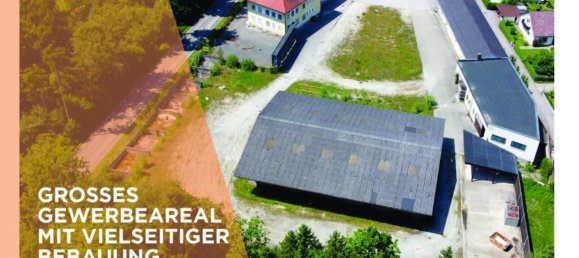 Terrain à Hohenzell, Austria No. 226089 2