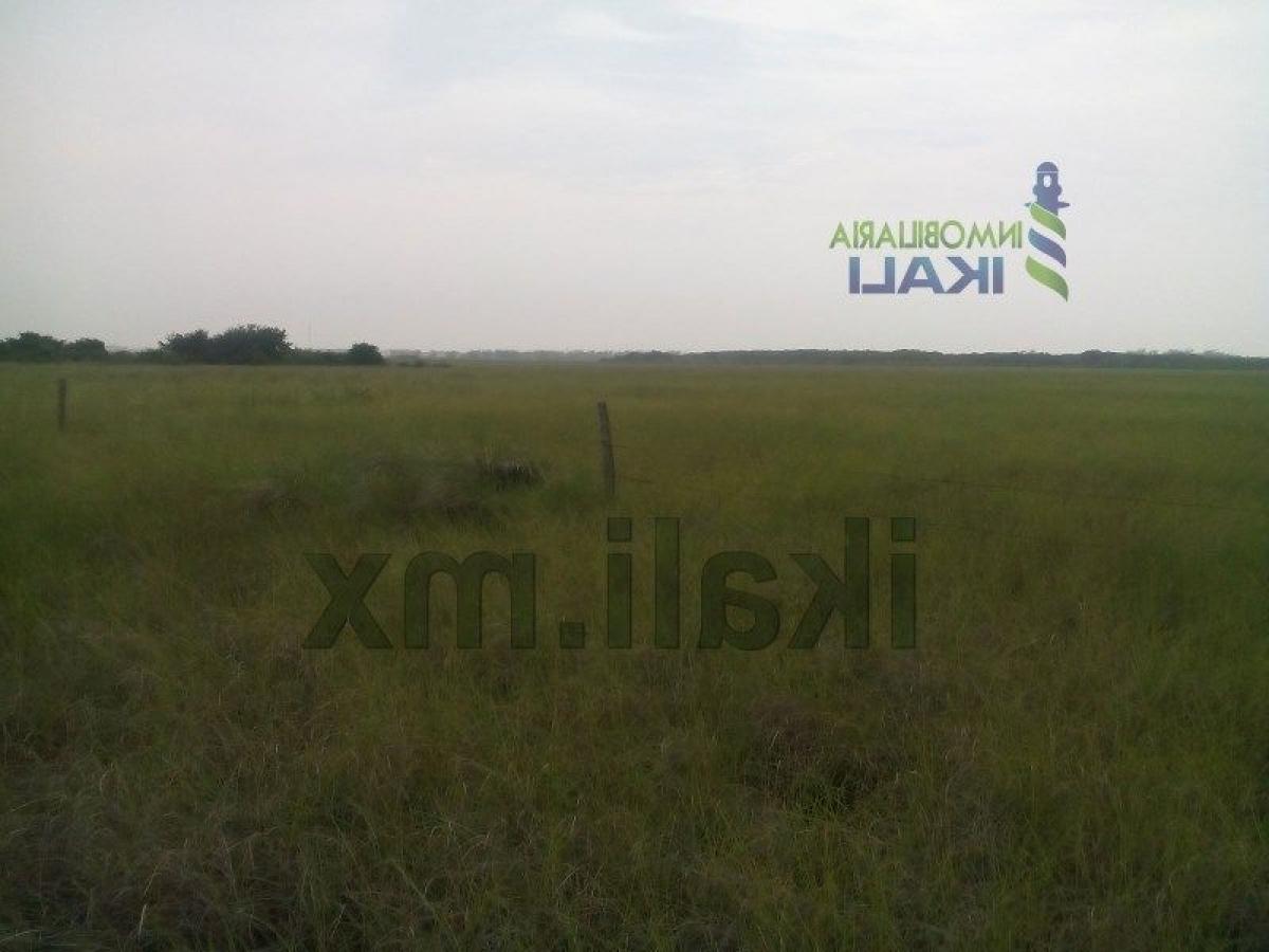  Land in Veracruz, Mexico No. 203851