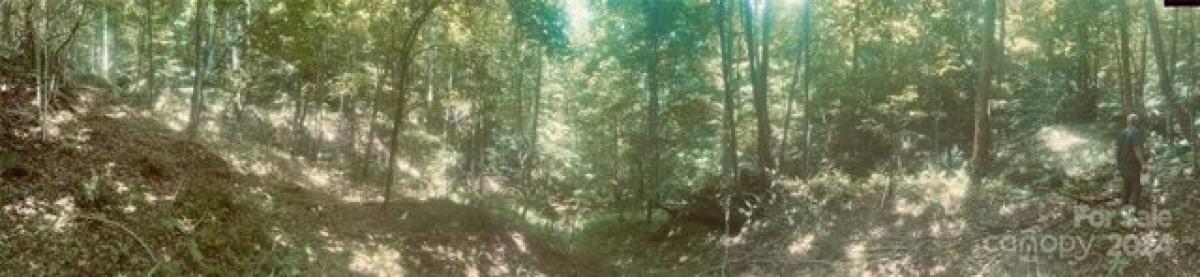  Land in Marshall, USA No. 479317