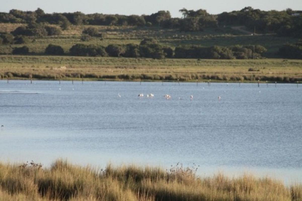 قطعة أرض في Maldonado, Uruguay رقم 15587