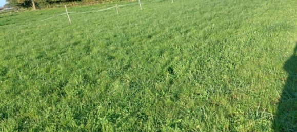 Grundstück in Beaumont-en-Beine, France 1594m², Nr. 222370 5