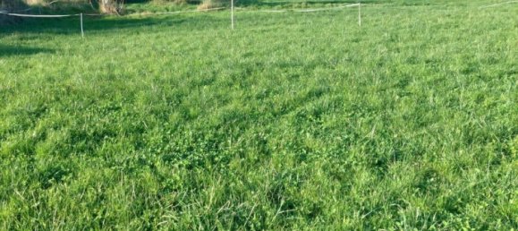 Grundstück in Beaumont-en-Beine, France 1594m², Nr. 222370 4