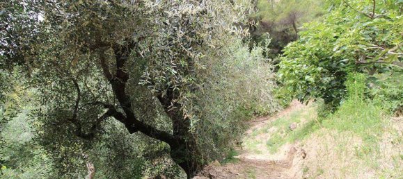 9-Zimmer Villa in Camporosso, Italy, Nr. 230200 9