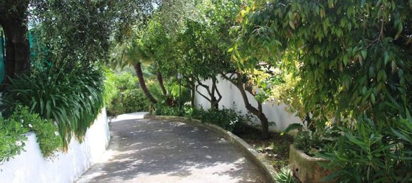 9-Zimmer Villa in Camporosso, Italy, Nr. 230200 5