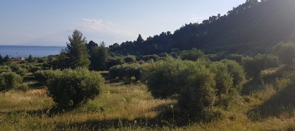 Отель, гостиница 4500м² в Халкидики, Центральная Македония, Македония и Фракия, Греция № 4882 2