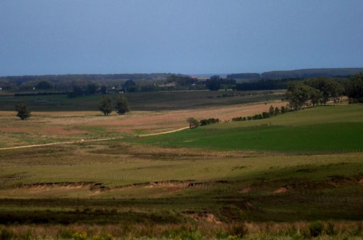 Granja en Maldonado, Uruguay 44 m² No. 14186