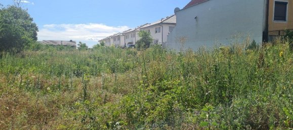 Terreno en Deutsch-Wagram, Austria No. 163252 5