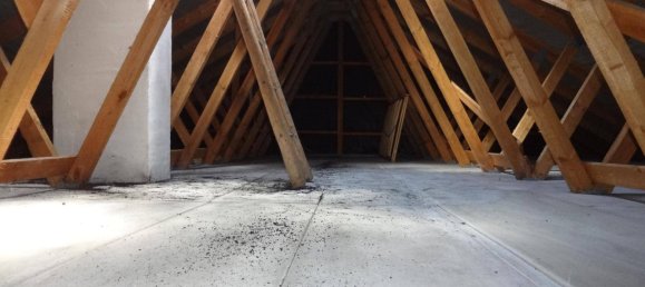 4-salle Bungalow à Schwarzau am Steinfeld, Austria No. 168617 14