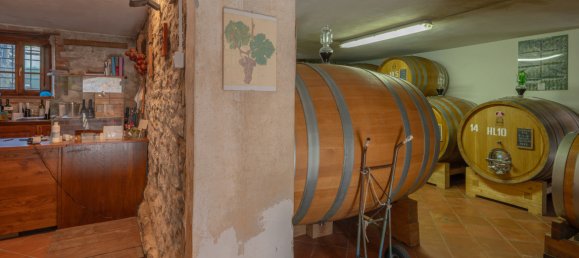 4 غرف نوم منزل في Gaiole in Chianti, Italy رقم 329803 19