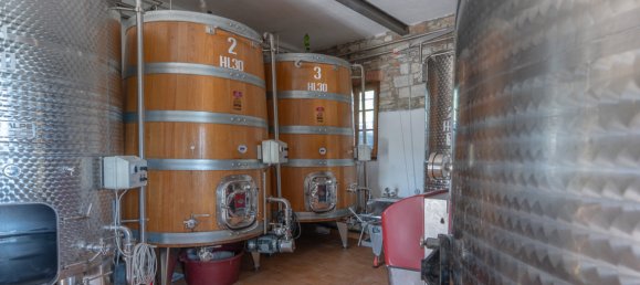 4 غرف نوم منزل في Gaiole in Chianti, Italy رقم 329803 20