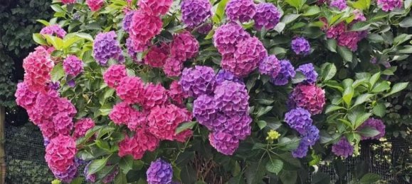 Квартира с 3 спальнями в Вандсбек, Германия № 334606 6