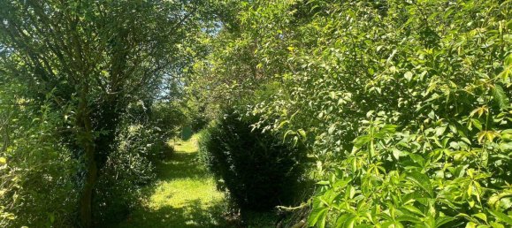 6 rooms House in Bad Kreuznach, Germany No. 247188 13