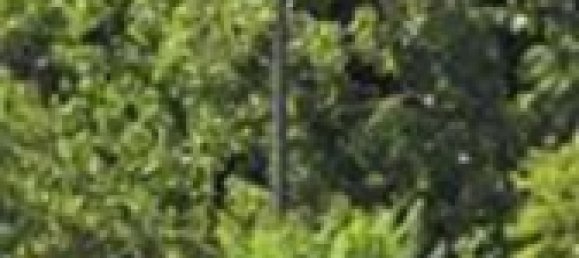 96m² Garage in Viterbo, Italy No. 327898 2