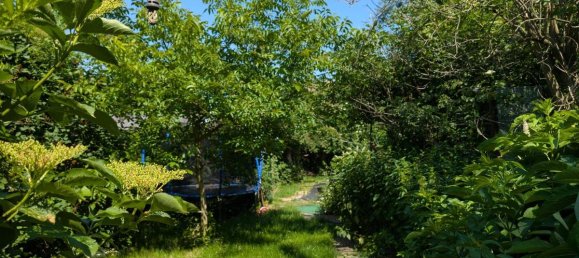 Casa de 5 divisões em Staatz, Austria N.º 169479 4