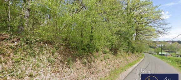 Terrain à Neuvic, France 7950m² No. 97262 3