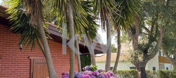 4 bedrooms House in Palmela, Portugal No. 119164 5