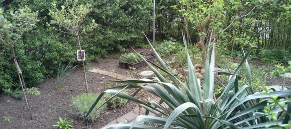 2 غرف نوم شقة في Saalekreis, Germany رقم 240779 8