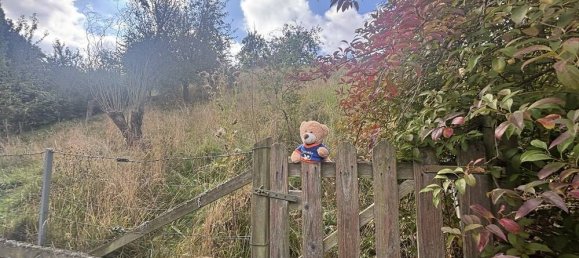 4 bedrooms House in Schaumburg, Germany No. 367419 32