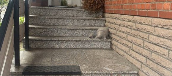 4 bedrooms House in Schaumburg, Germany No. 367419 5