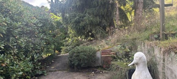 4 bedrooms House in Schaumburg, Germany No. 367419 29