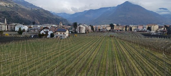 5 rooms Apartment in Trentino-Alto Adige, Italy No. 281608 9