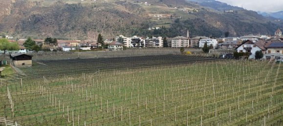 5 rooms Apartment in Trentino-Alto Adige, Italy No. 281608 11