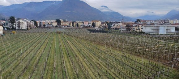 5 rooms Apartment in Trentino-Alto Adige, Italy No. 281608 10