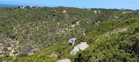 Terreno en Sintra, Portugal 3400 m² No. 77543 6