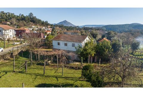4 bedrooms Land in Celorico de Basto, Portugal No. 190124
