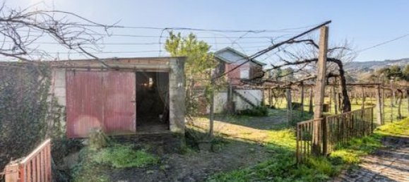 4 bedrooms Land in Celorico de Basto, Portugal No. 190124 4