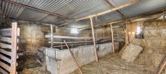 4 bedrooms Land in Celorico de Basto, Portugal No. 190124 18