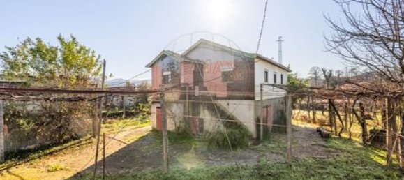 4 bedrooms Land in Celorico de Basto, Portugal No. 190124 5