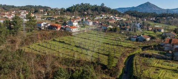 4 bedrooms Land in Celorico de Basto, Portugal No. 190124 3