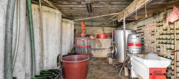 4 bedrooms Land in Celorico de Basto, Portugal No. 190124 16