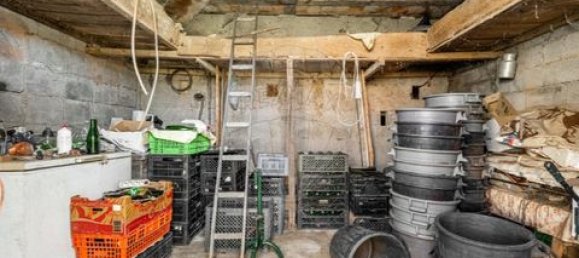 4 bedrooms Land in Celorico de Basto, Portugal No. 190124 17