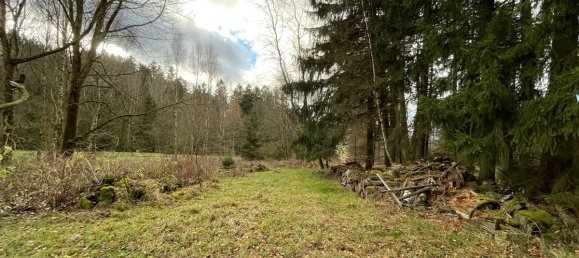 Terrain à Tirschenreuth, Germany No. 175287 7