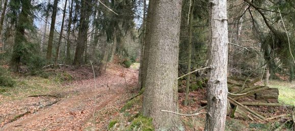 Terrain à Tirschenreuth, Germany No. 175287 5