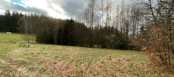 Terrain à Tirschenreuth, Germany No. 175287 4