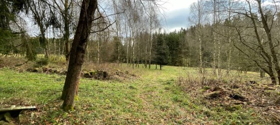 Terrain à Tirschenreuth, Germany No. 175287 8