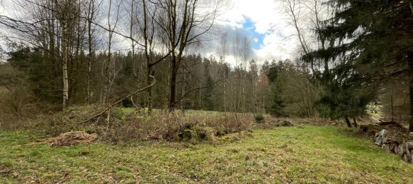 Terrain à Tirschenreuth, Germany No. 175287 10