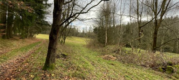 Terrain à Tirschenreuth, Germany No. 175287 2