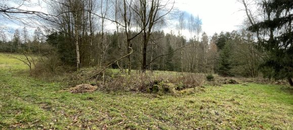 Terrain à Tirschenreuth, Germany No. 175287 9